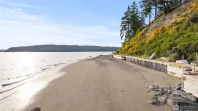 Whales Frequent this Strip, Leaving Tracks at Low Tide~
