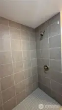 Shower for main bathroom