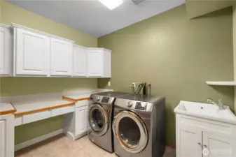 Large laundry room on lower level.
