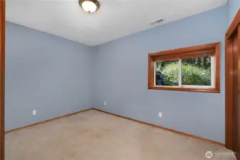 2nd bedroom on lower level.