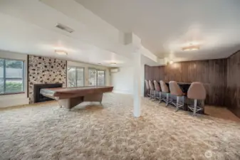 Downstairs Bonus Room