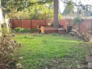 path leads to a nice sized level backyard