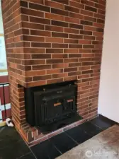 check out that cool fireplace!