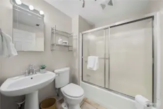 Lower level full bathroom