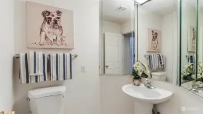 Darling powder room on the main floor.