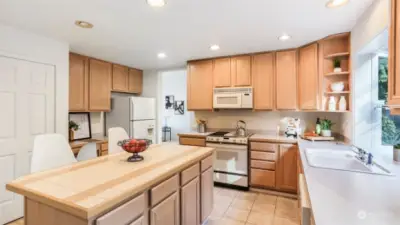 Step into this light and bright kitchen with an abundance of cabinet and counter space, large island with breakfast bar seating, and big walk-in pantry.