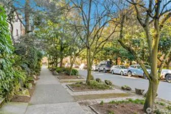 Welcome home to this tree lined street.