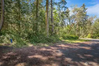 Lots of light and privacy.