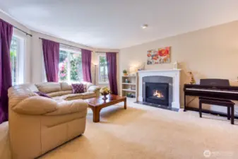 Cozy gas fireplace in living room.