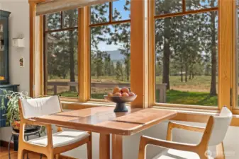 Peace and quiet with sunbeams start your day. You are NOT on the rainy side of the mountains anymore!!