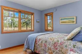 2nd bedroom opn maiin floor has lovely views to the aspens and Mountain Gardner!