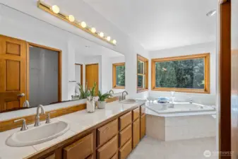 Lavish Primary Bathroom