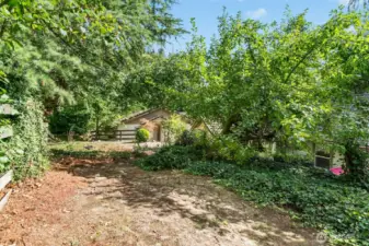 How Woud Your Like Some Fruit Trees?