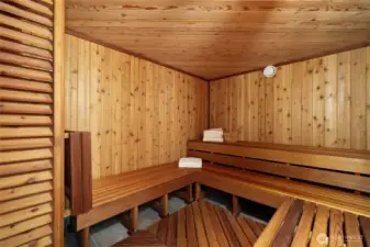 Oversized Sauna with a Shower
