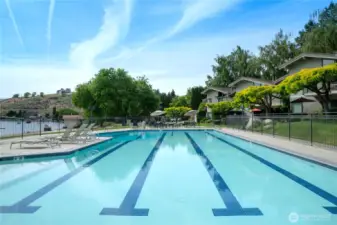 View of Olympic sized pool and landscaped grounds.