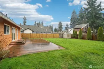 south and west exposure brings lots of light to the backyard