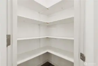 Walk-in Kitchen Pantry