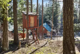 Treehouse included!!