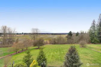 Endless possibilities for this huge backyard