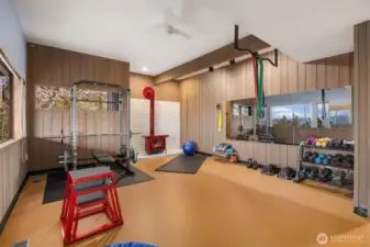 Lower level exercise room is also usable as a conforming bedroom (with a closet and egress windows).