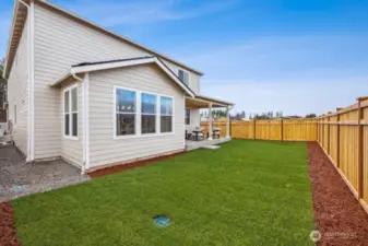 Backyard - photo of actual home