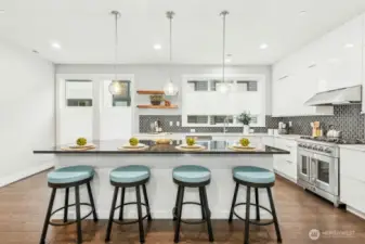 Upgraded kitchen from lighting to countertops to appliances