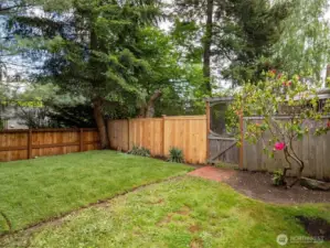 The large backyard area is ready for your finishing touches.