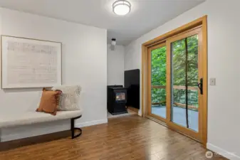 cozy pellet stove