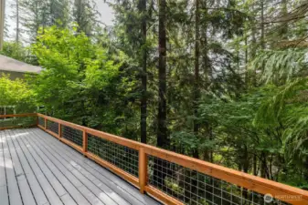 house length new deck and railing with "tree house" privacy