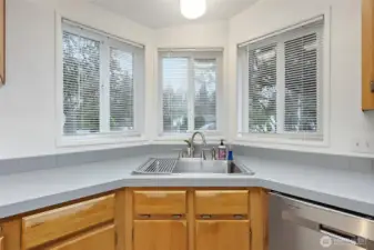 Newer stainless steel sink and faucet with lots of natural light in the kitchen.