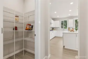 Walk in pantry with motion sensor lighting. EV charger in the garage. Photos are for representational purposes only. Colors and finishes may vary.