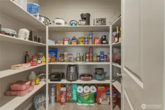 Spacious Walk-in Pantry off of Kitchen