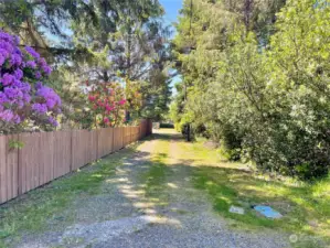 Driveway to the home.