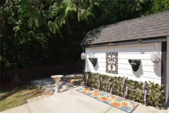 Patio & Outbuilding