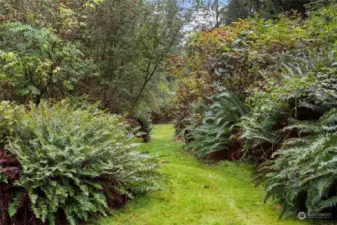Well-groomed trail leads to the River
