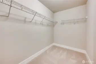 Primary Walk-in Closet