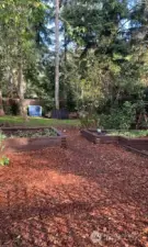 In the backyard, raised beds lead to the lawn.