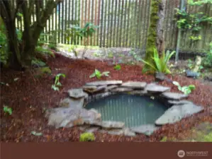 Shade pond