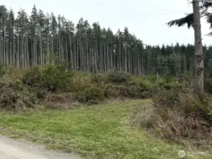 Entrance off of Foxglove Hollow on the north