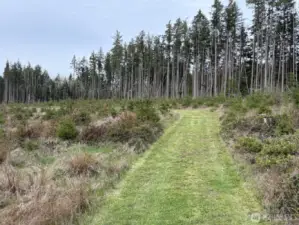 Drive up the hill