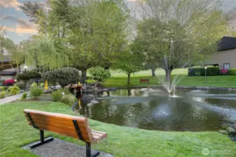 Duck Pond
