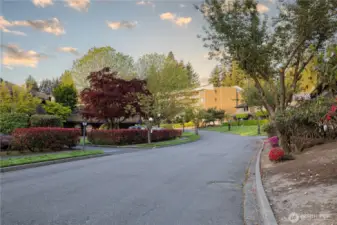 Glen Acres Dr S