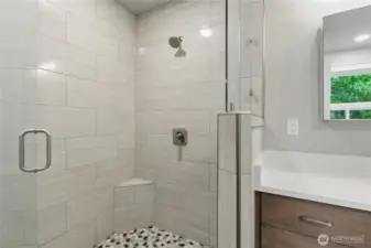Primary Shower