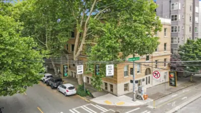 Peaceful tree lined street