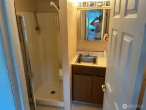 Guest 3/4 bathroom in breezeway between formal Dining room and Living room, with shower toilet sink, medicine cabinet 3 pane vanity and cabinets for storage.