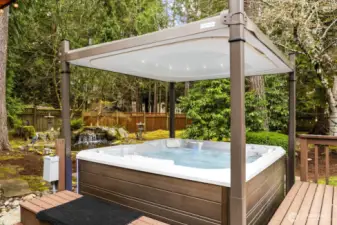 8 person salt water hot tub with Covana auto cover.