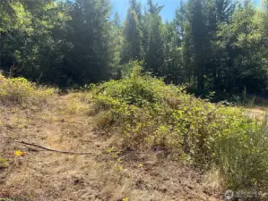 Lower building site with room for RV