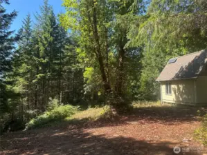 Tiny home sits on top of a small bluff. Potential for view of Quilcene Bay and Walker Mountian.