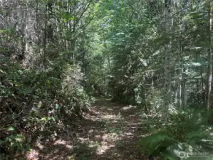 The  back 10 acres has limited access.  Potential to work with your local forester and the county assessor to convert the back 10 acres into residential timber status for future property tax savings! Property adjoins a large commerial timber property.