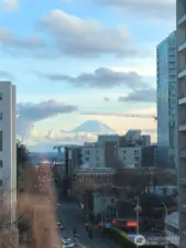 View from Living Rm Window